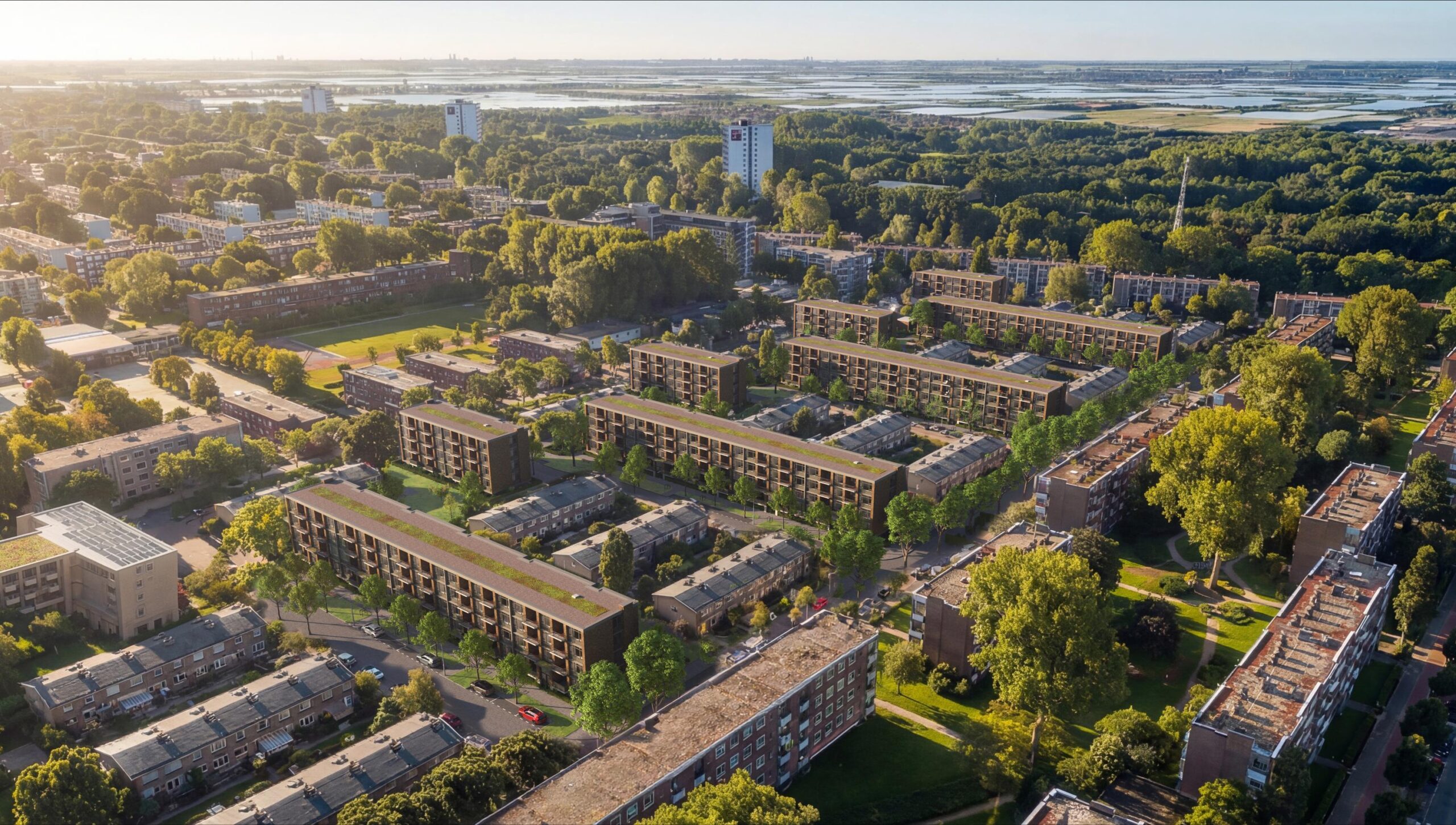NieuwMosveen_vogelvlucht
